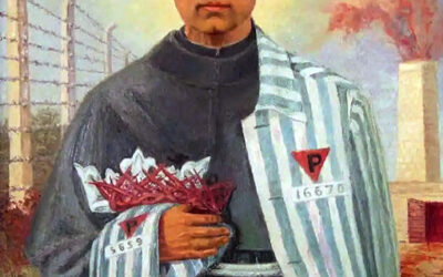 Silencio: San Maximiliano Kolbe